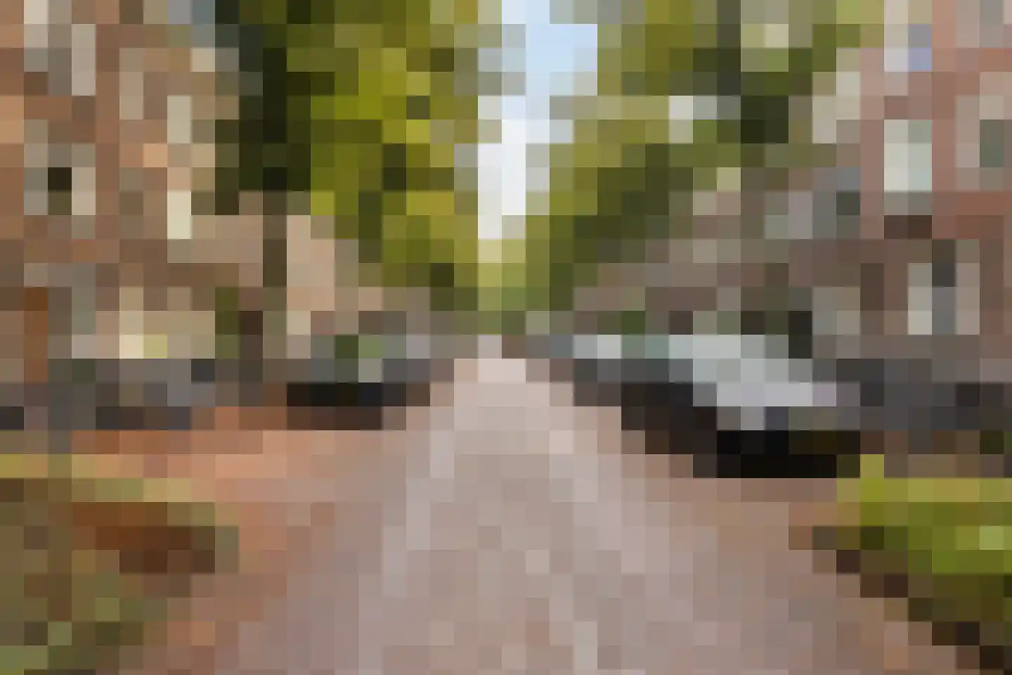 Bijlwerffstraat 40 B Rotterdam thumbnail 30