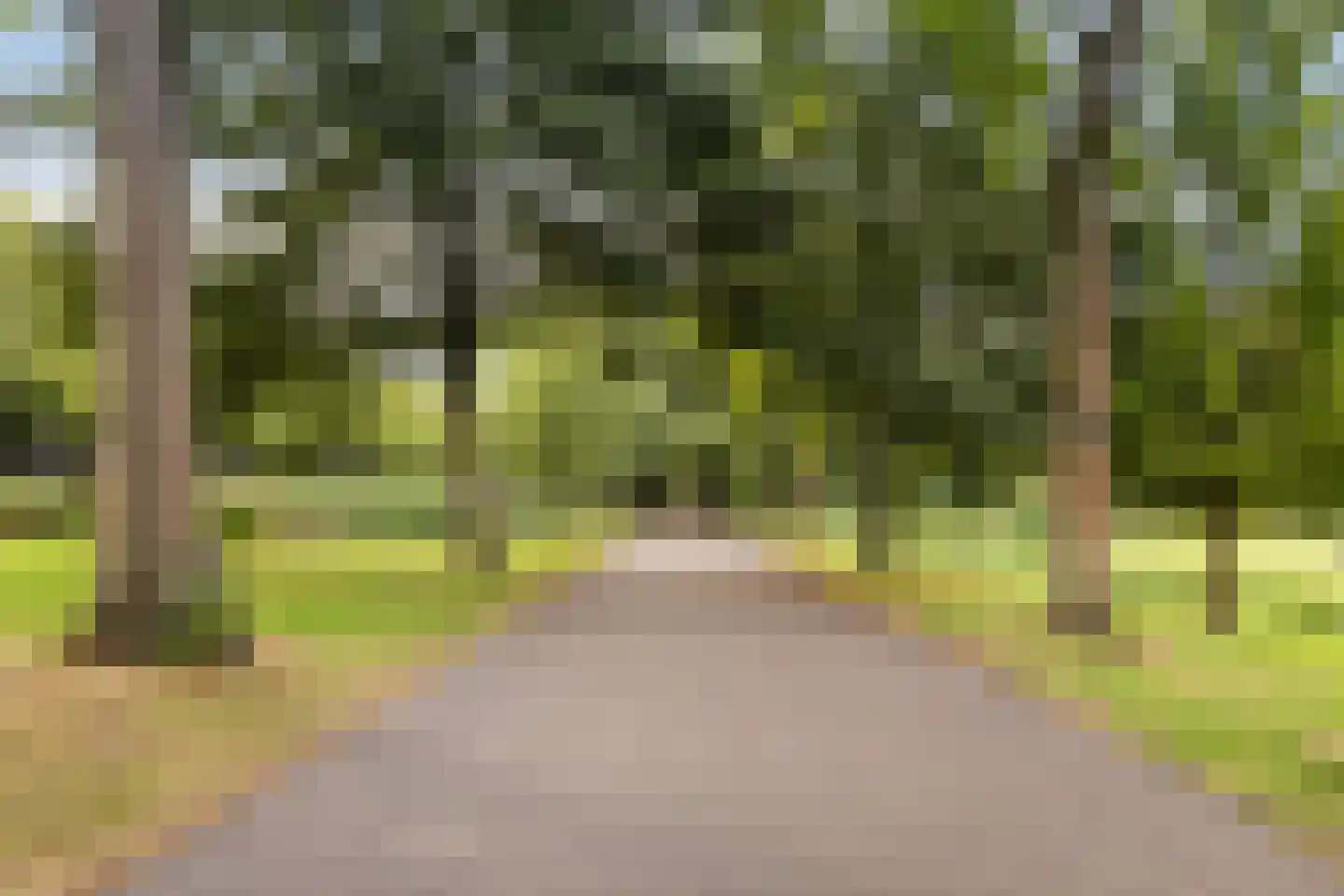 Bijlwerffstraat 40 B Rotterdam thumbnail 32