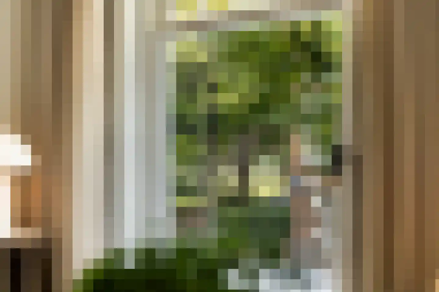 Bijlwerffstraat 40 B Rotterdam thumbnail 4