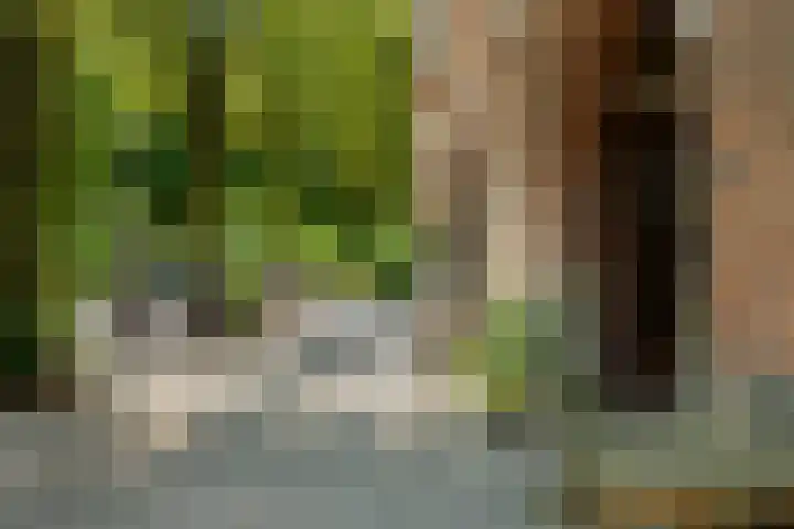 Bijlwerffstraat 41 B 02 Rotterdam thumbnail 5