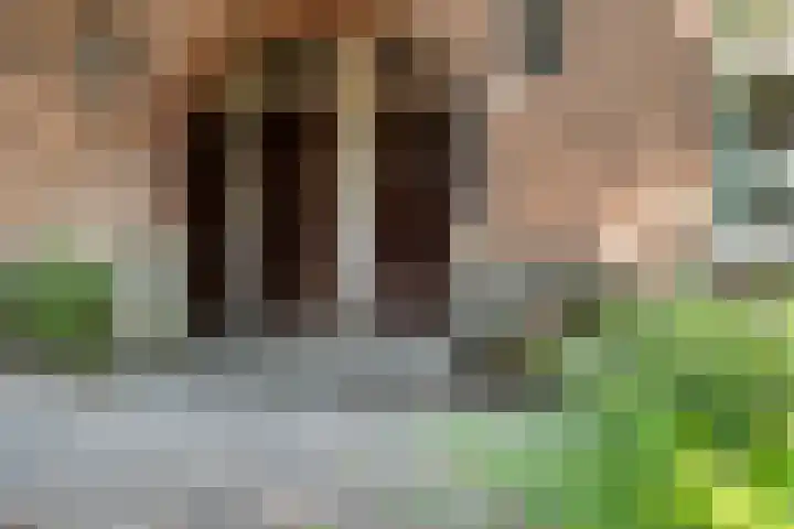 Bijlwerffstraat 41 B 02 Rotterdam thumbnail 6