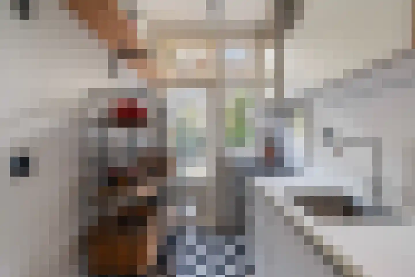 Bijlwerffstraat 7 B 01 Rotterdam thumbnail 14