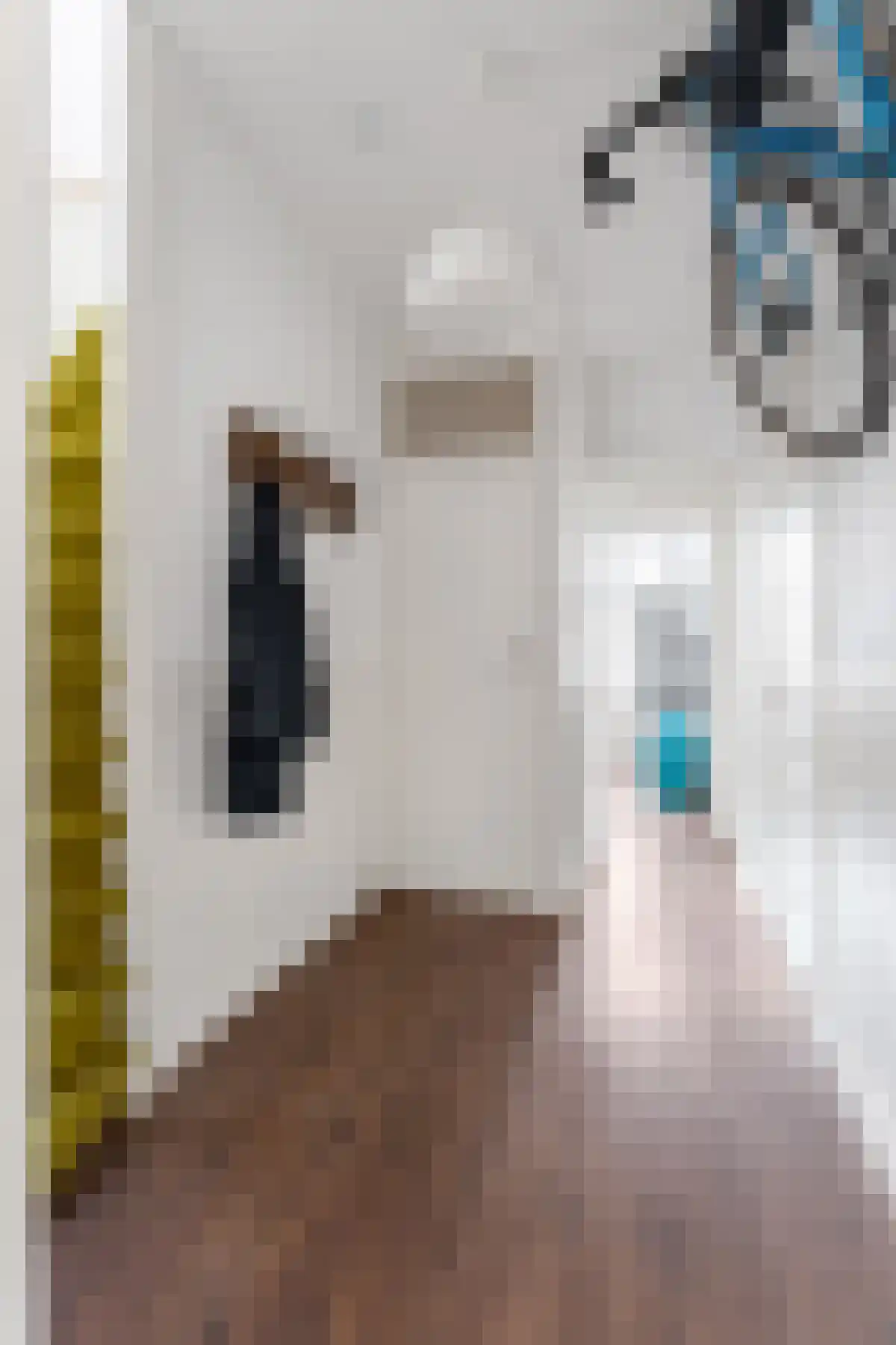 Bijlwerffstraat 7 B 02 Rotterdam thumbnail 25