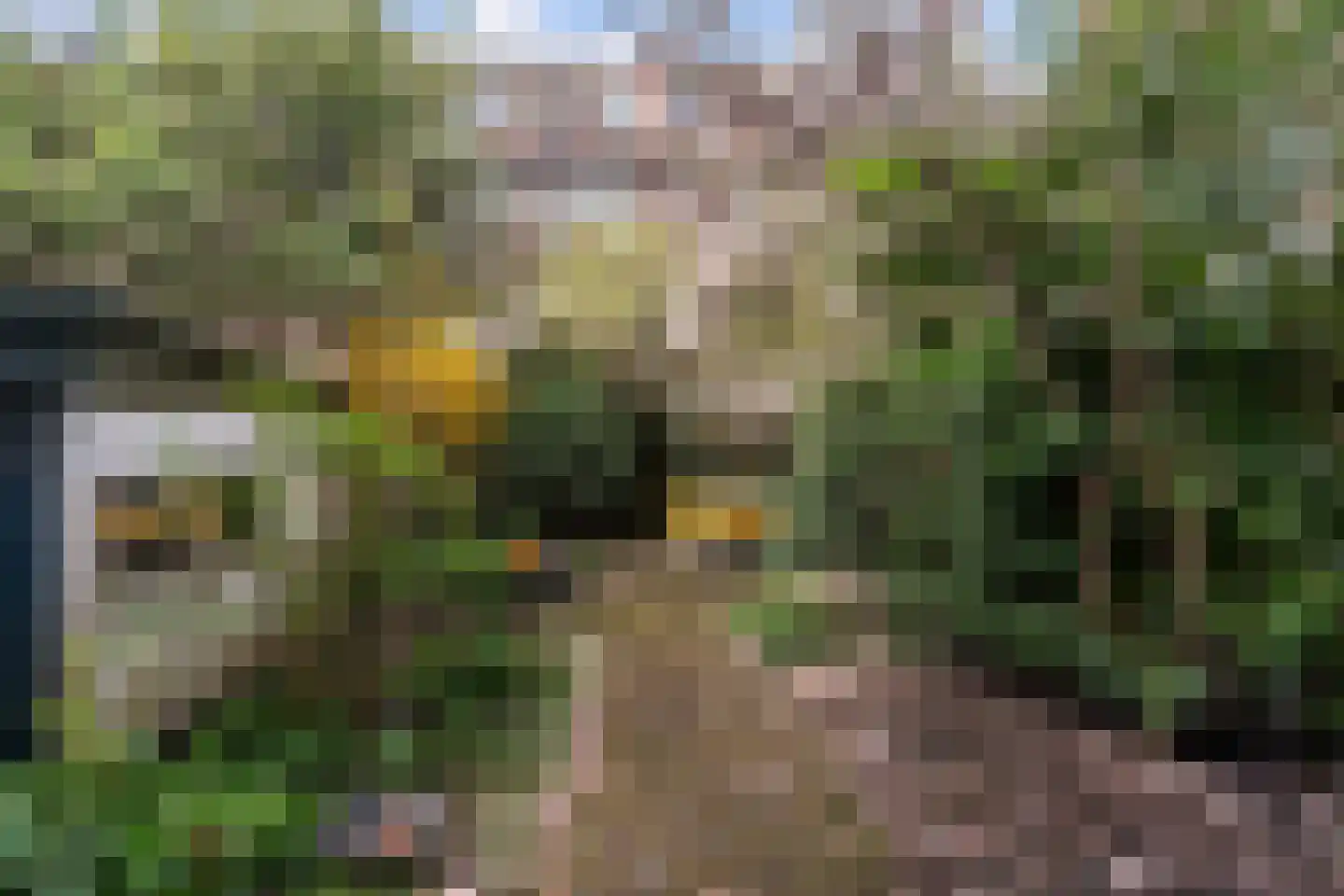 Bijlwerffstraat 7 B 02 Rotterdam thumbnail 4