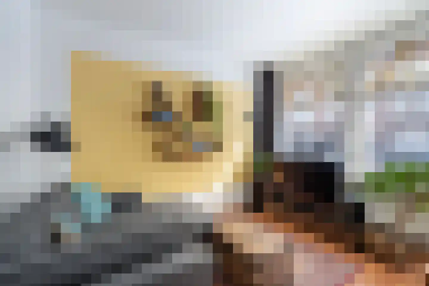 Bijlwerffstraat 7 B 02 Rotterdam thumbnail 7