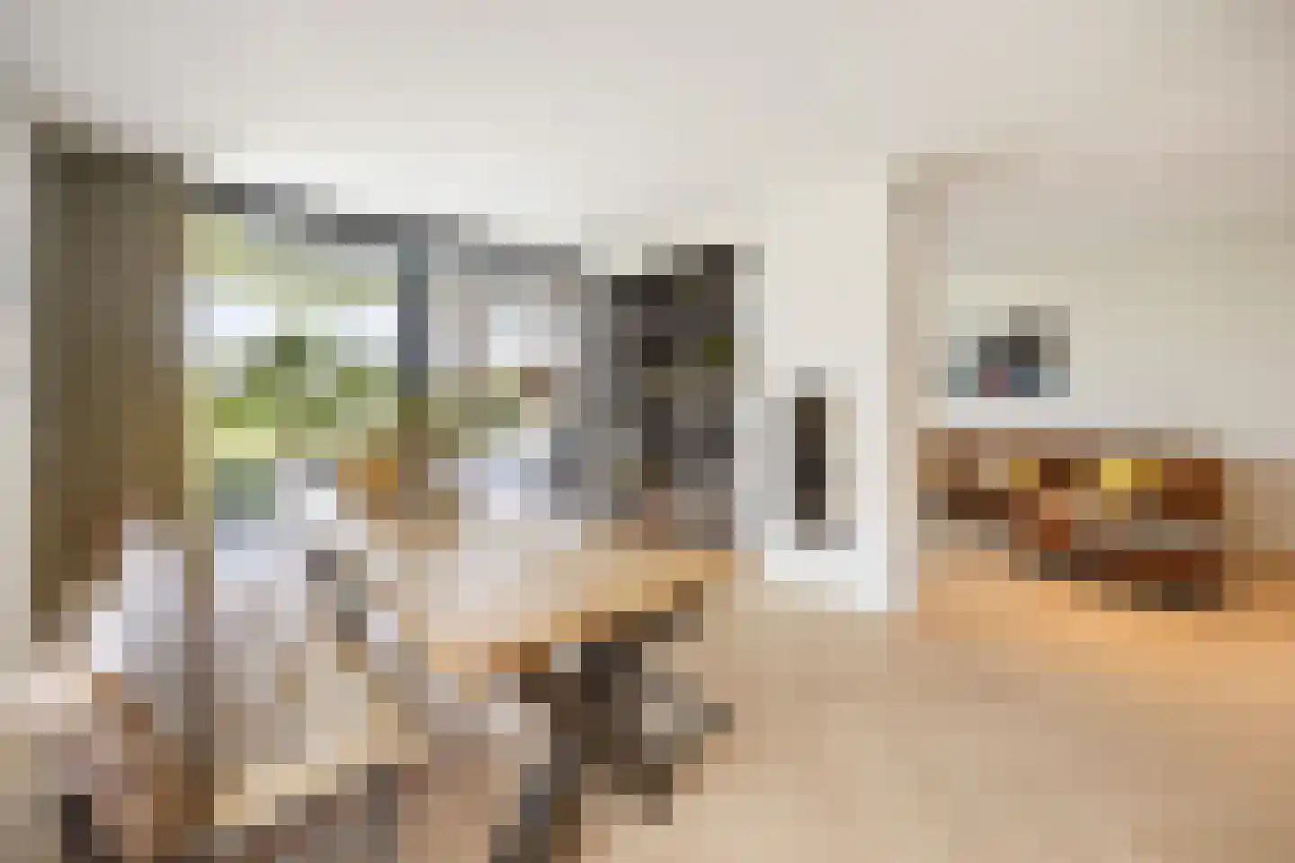 Bijmansstraat 31 Deest thumbnail 30