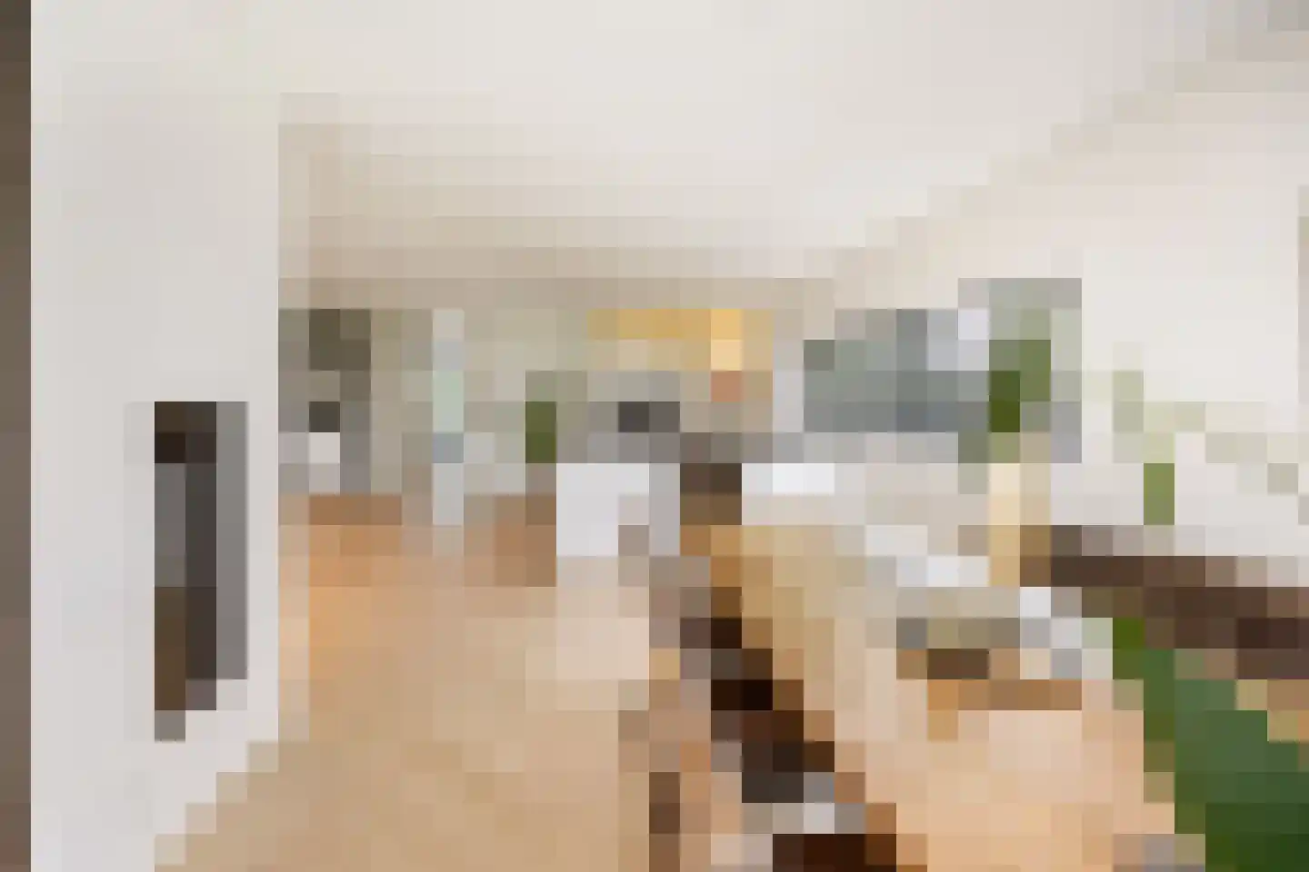 Bijmansstraat 31 Deest thumbnail 32