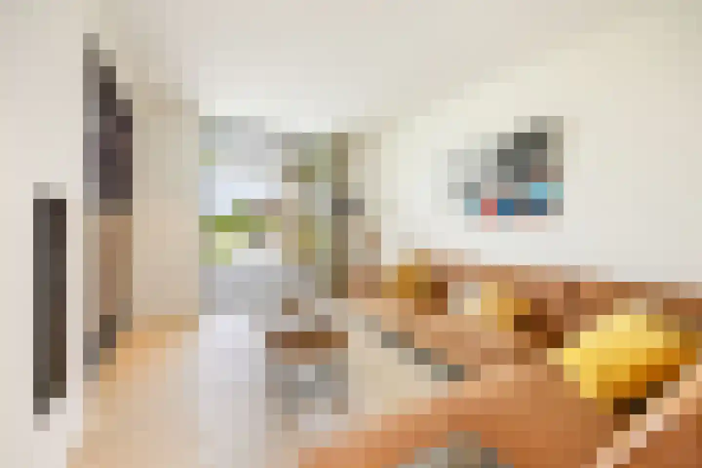 Bijmansstraat 31 Deest thumbnail 34