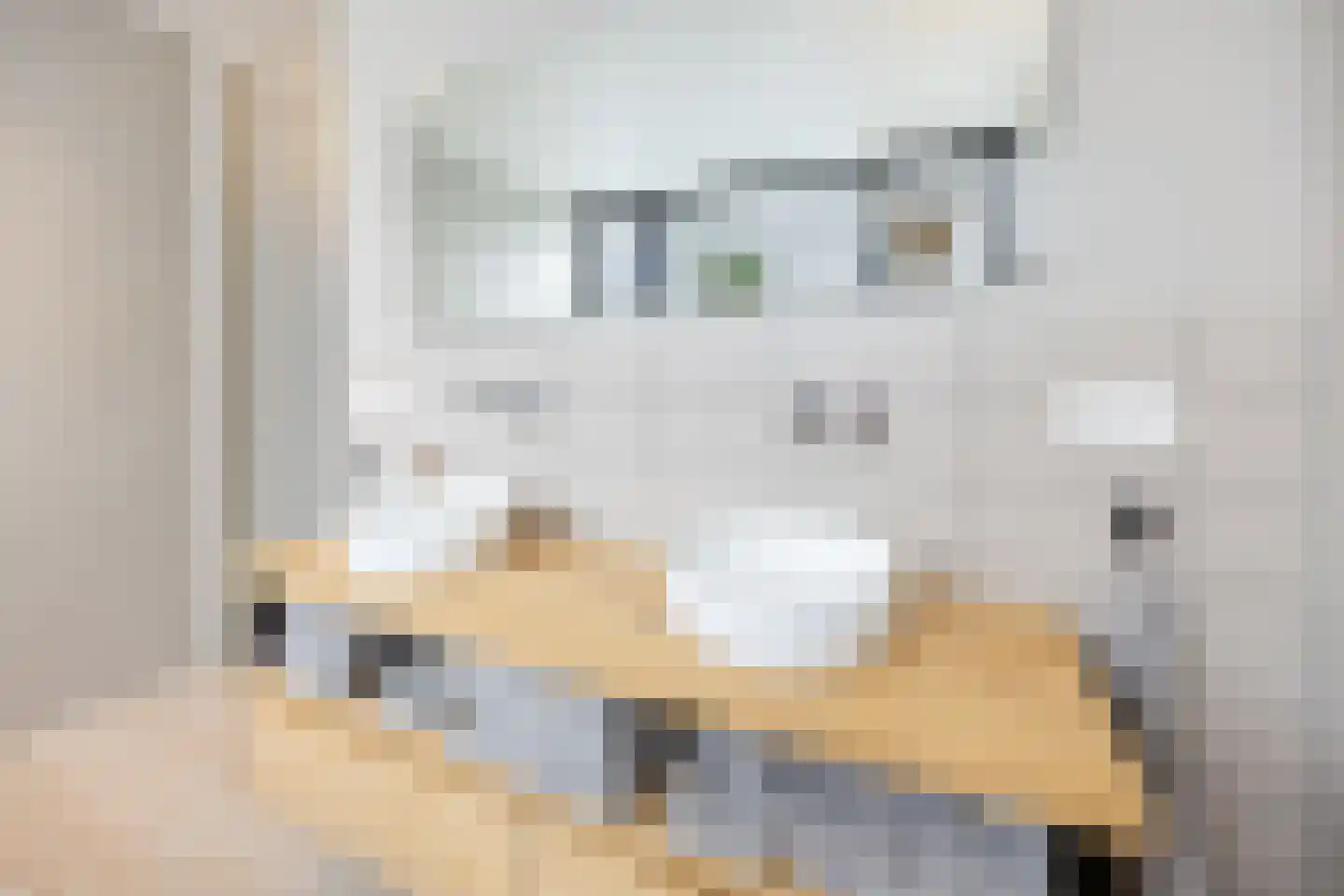 Bijmansstraat 31 Deest thumbnail 51