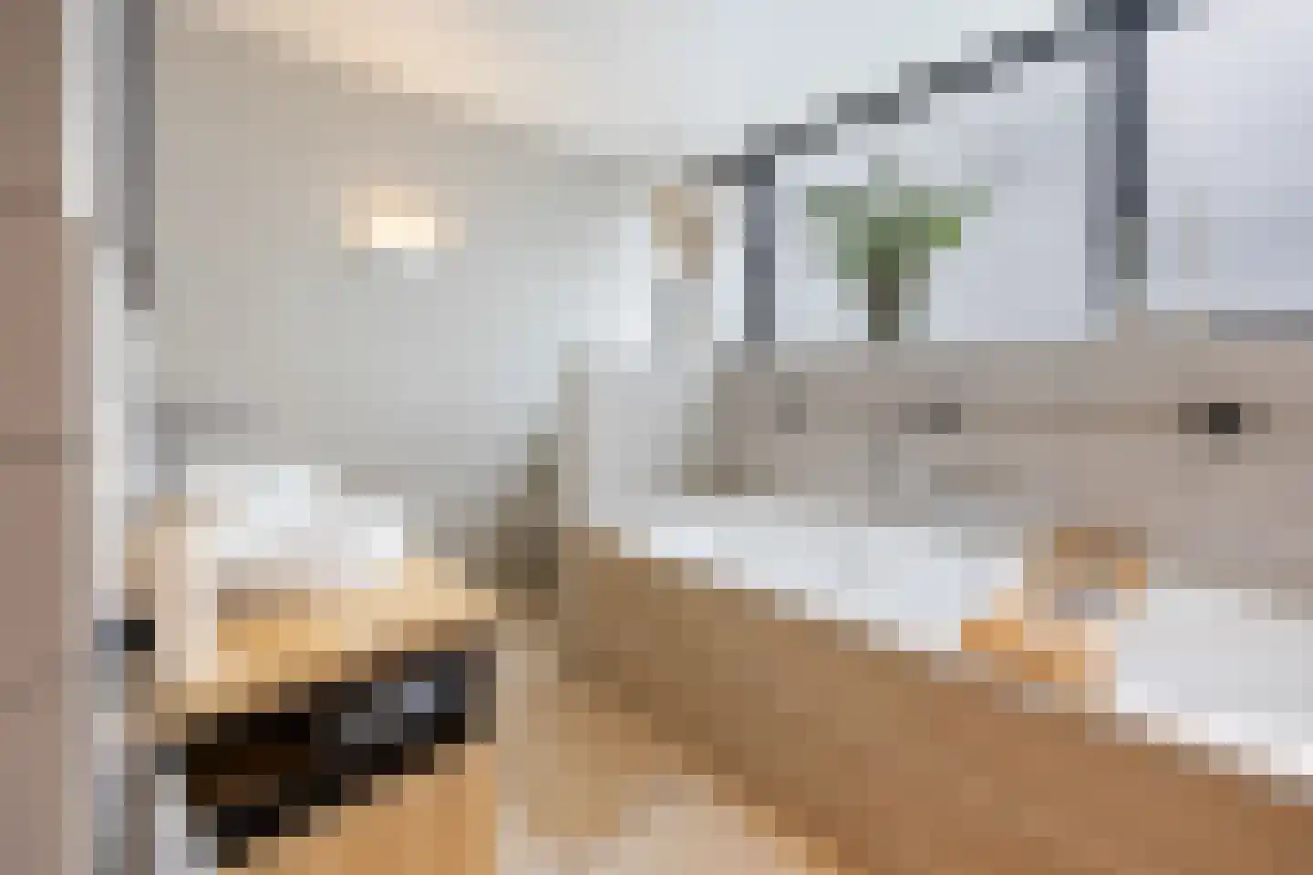 Bijmansstraat 31 Deest thumbnail 52