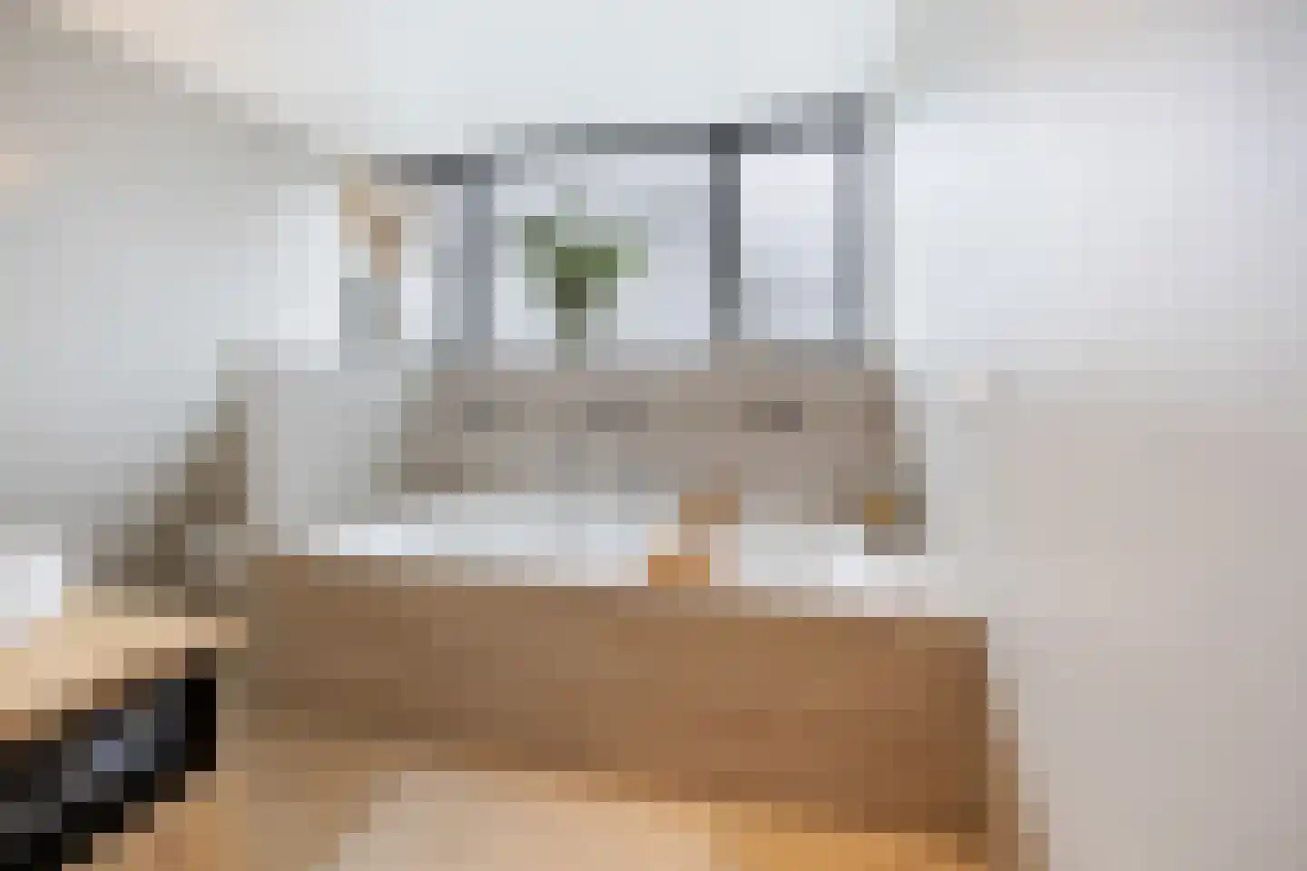 Bijmansstraat 31 Deest thumbnail 53