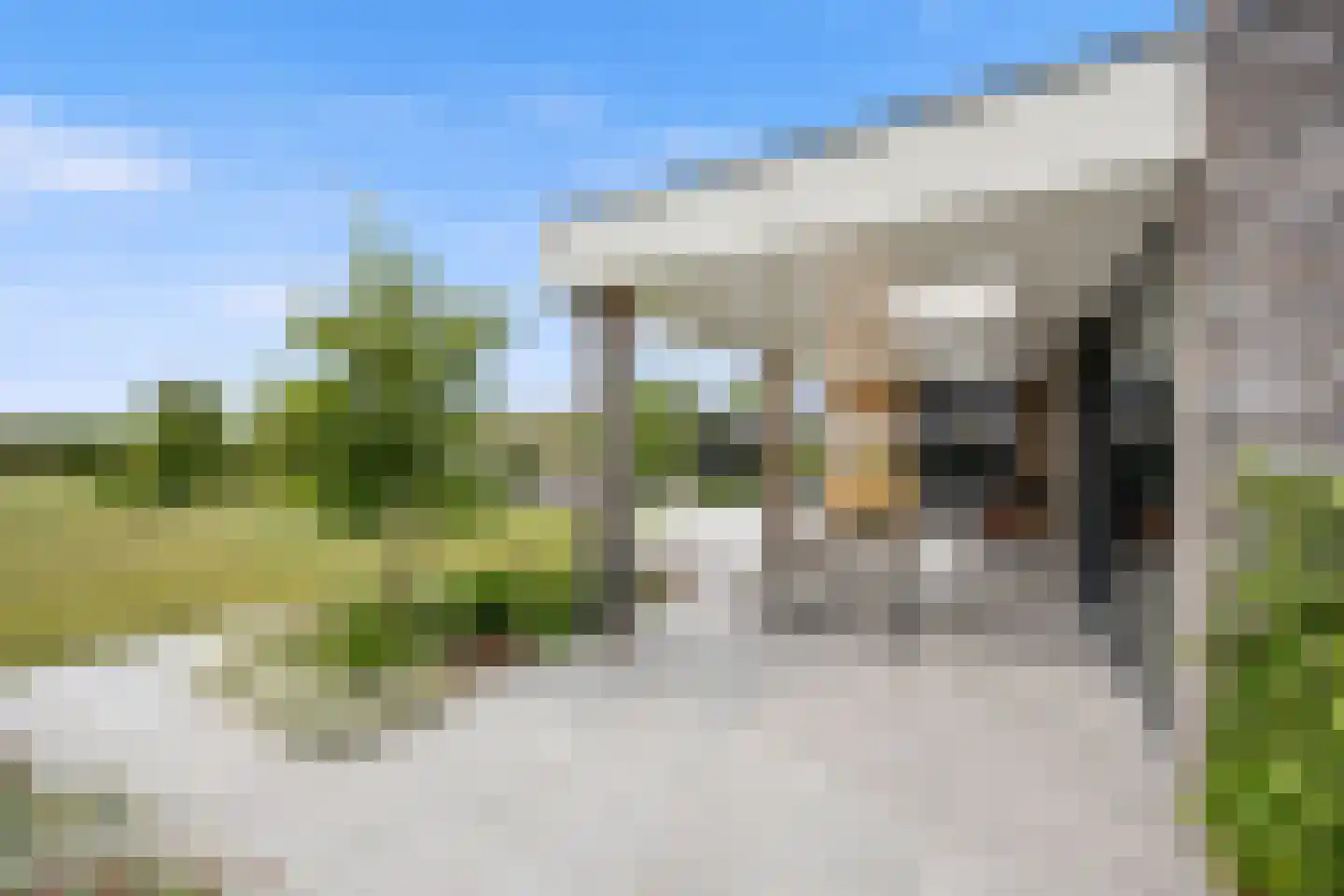 Bijmansstraat 31 Deest thumbnail 68