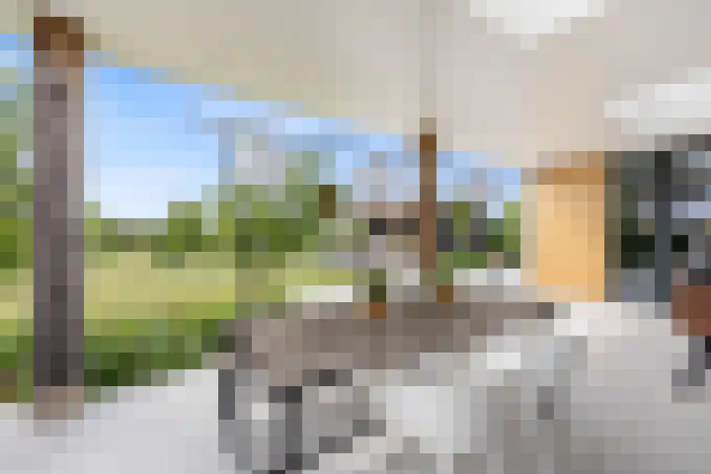 Bijmansstraat 31 Deest thumbnail 69
