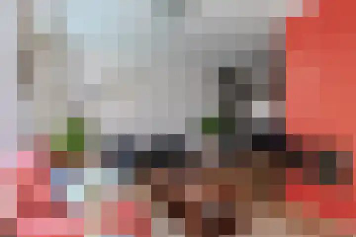Bijnenhof 11 Waalre thumbnail 13