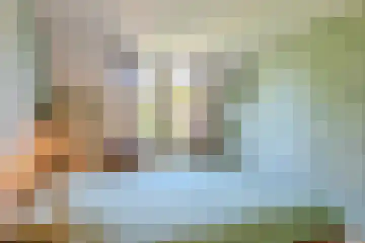 Bijnenhof 11 Waalre thumbnail 28
