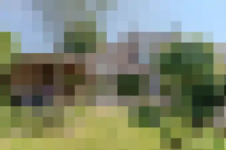 Bijnenhof 11 Waalre thumbnail 35