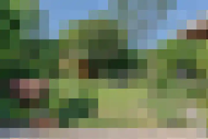 Bijnenhof 11 Waalre thumbnail 37