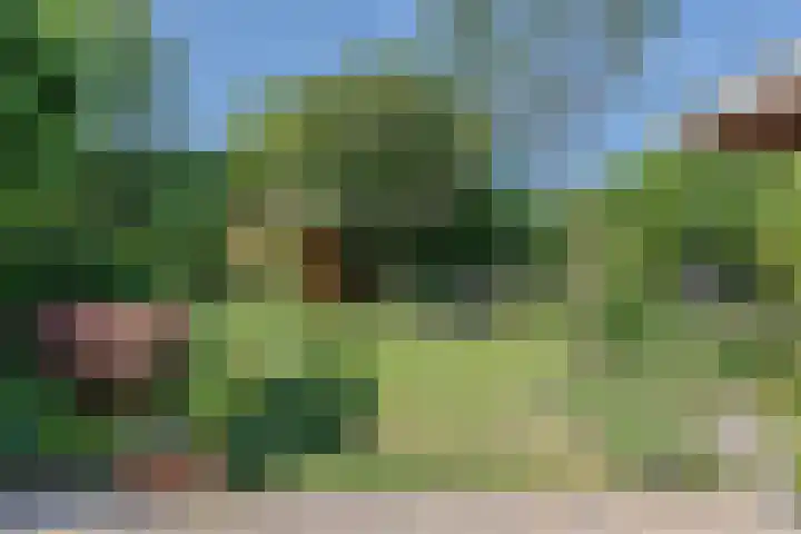 Bijnenhof 11 Waalre thumbnail 4