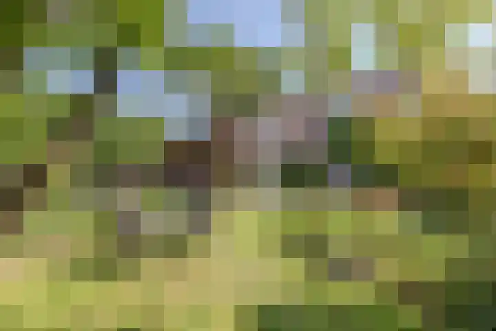 Bijnenhof 11 Waalre thumbnail 40