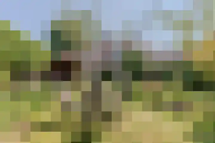 Bijnenhof 11 Waalre thumbnail 41