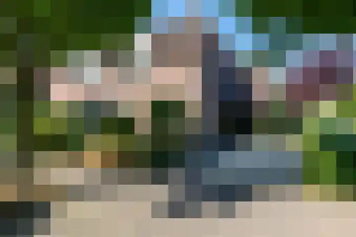 Bijnenhof 11 Waalre thumbnail 49