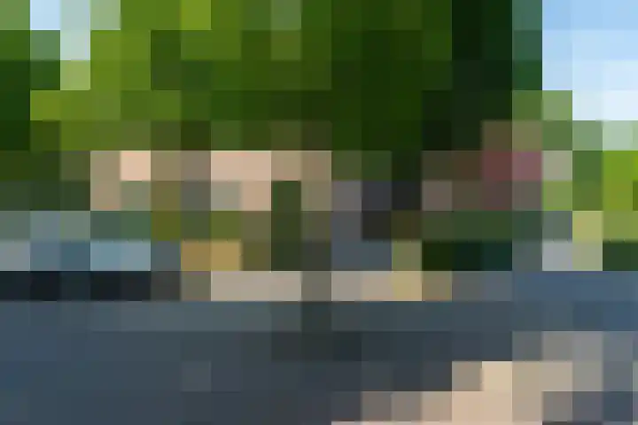 Bijnenhof 11 Waalre thumbnail 6