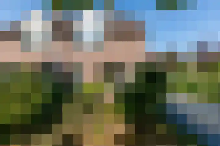 Bijnenhof 11 Waalre thumbnail 7