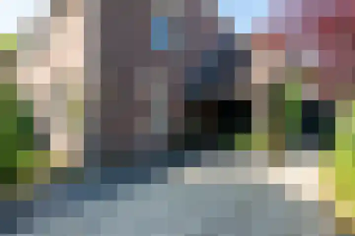 Bijnenhof 11 Waalre thumbnail 8
