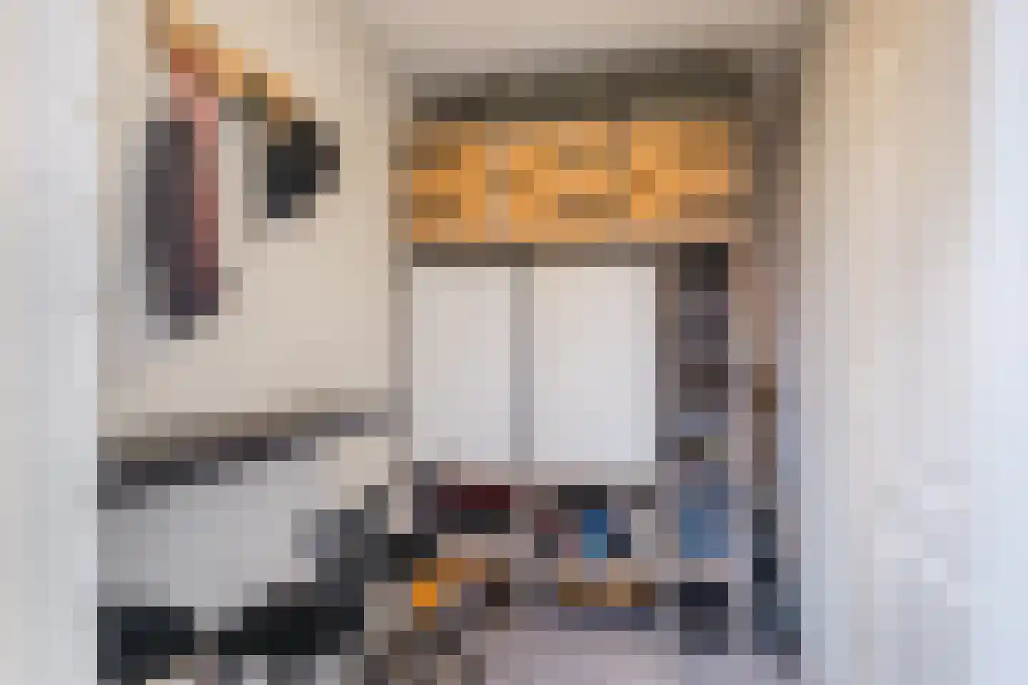 Bijnenstraat 4 Eersel thumbnail 14