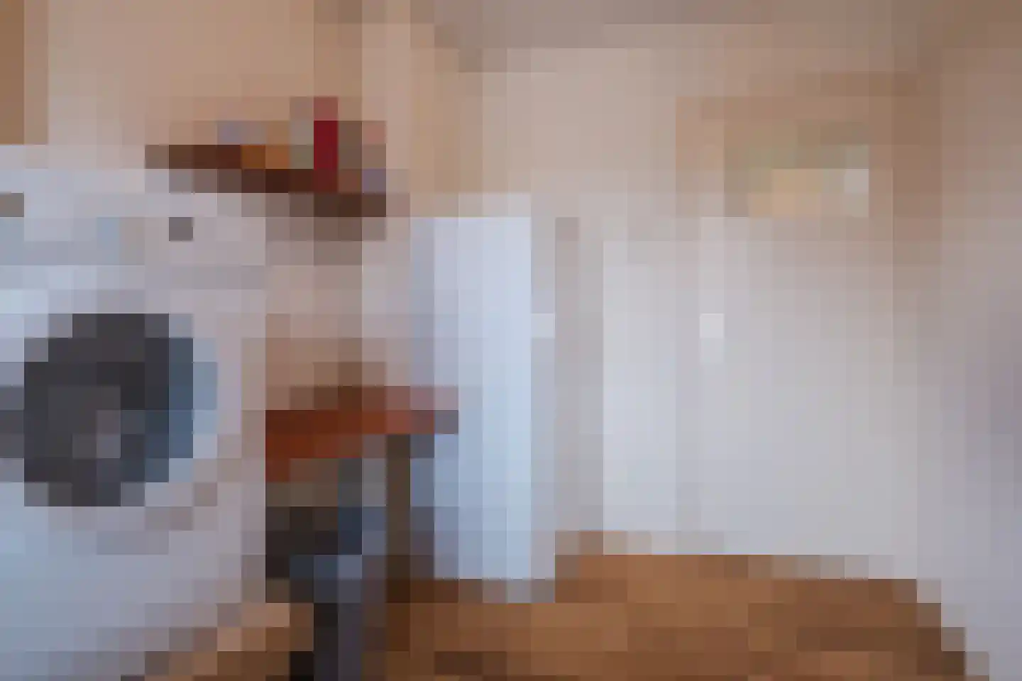 Bijnenstraat 4 Eersel thumbnail 22