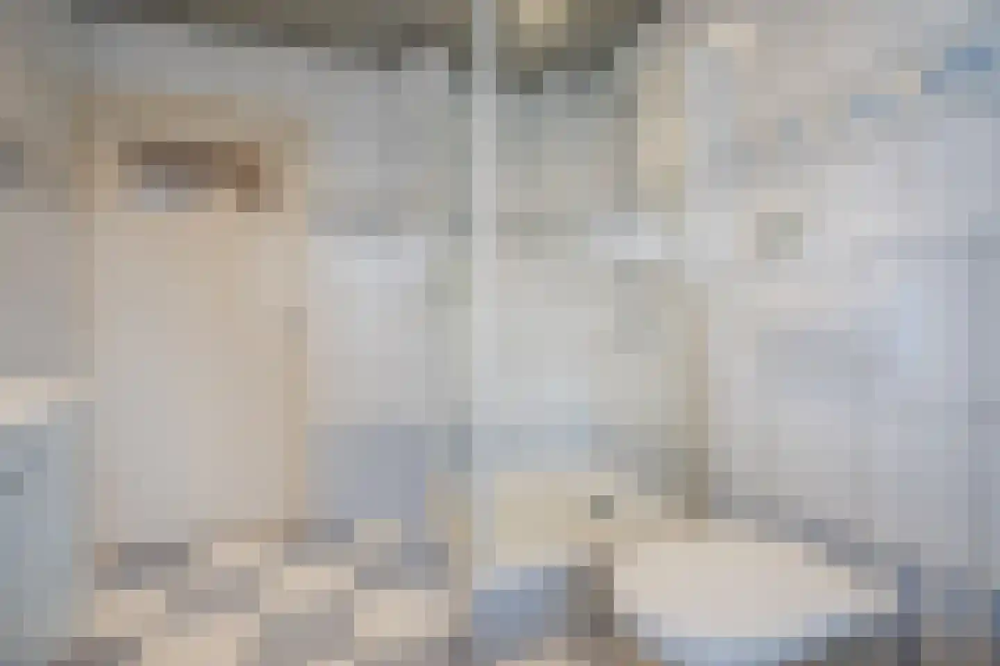 Bijnenstraat 4 Eersel thumbnail 24