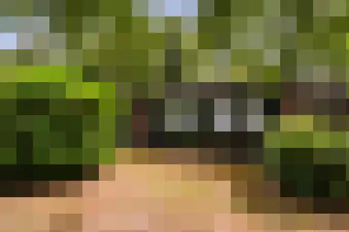 Bijsselseweg 11 10 Biddinghuizen thumbnail 14