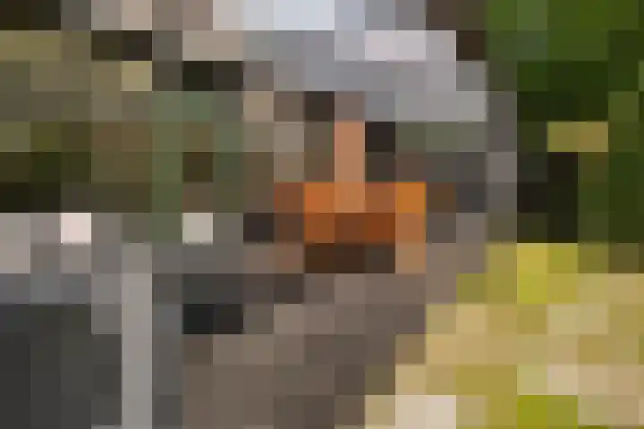 Bijsselseweg 11 10 Biddinghuizen thumbnail 16