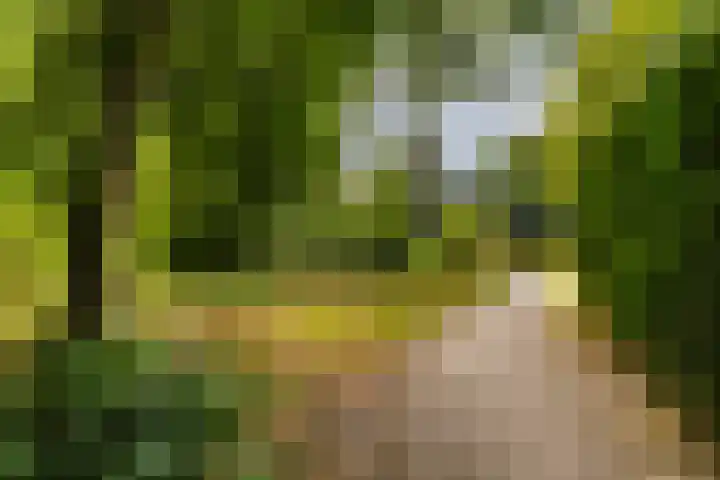 Bijsselseweg 11 10 Biddinghuizen thumbnail 17