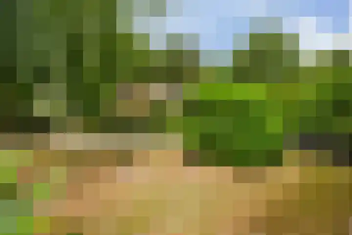 Bijsselseweg 11 10 Biddinghuizen thumbnail 18