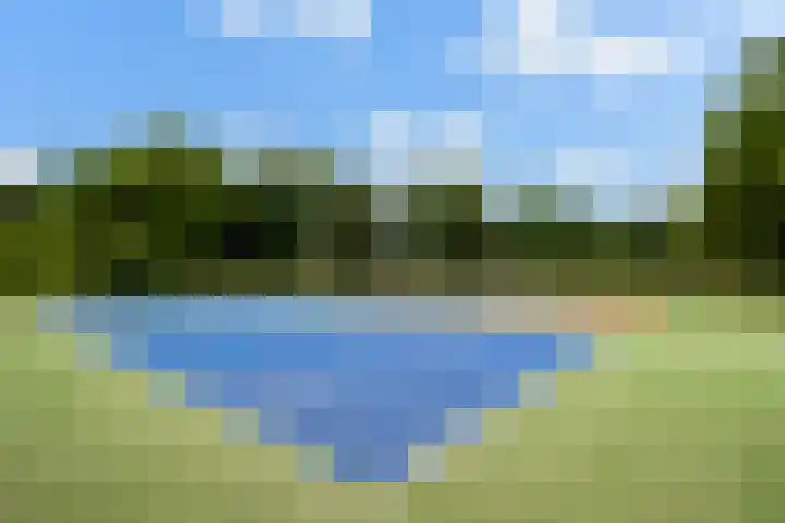Bijsselseweg 11 10 Biddinghuizen thumbnail 20