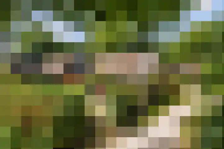Bijsselseweg 11 10 Biddinghuizen thumbnail 25