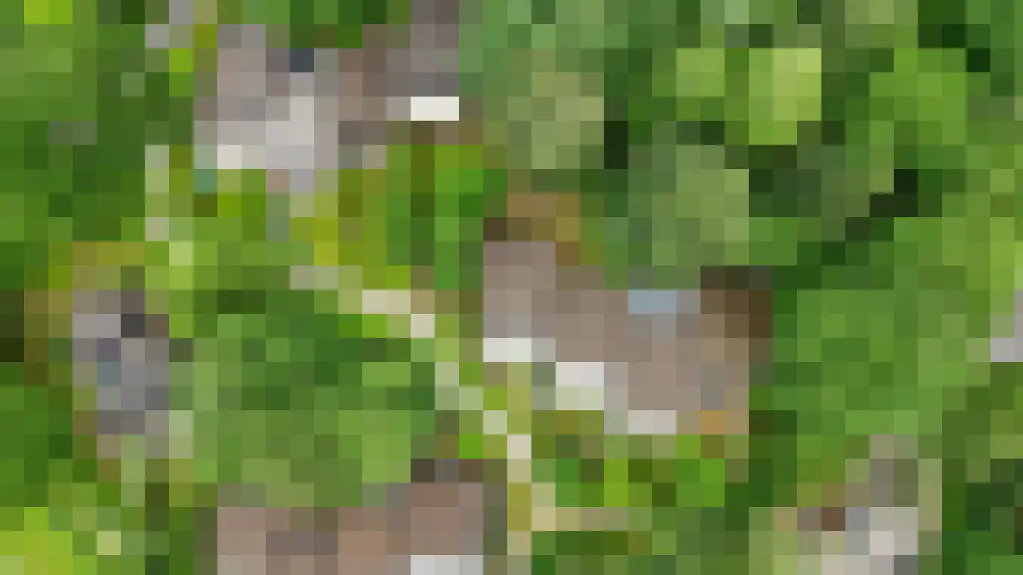 Bijsselseweg 11 11 Biddinghuizen thumbnail 12