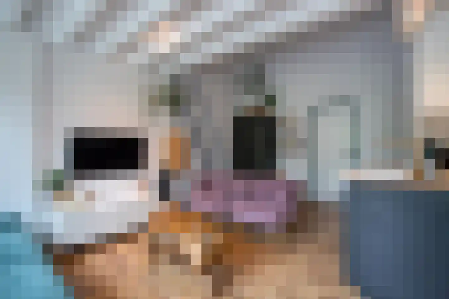 Bijsselseweg 11 11 Biddinghuizen thumbnail 18