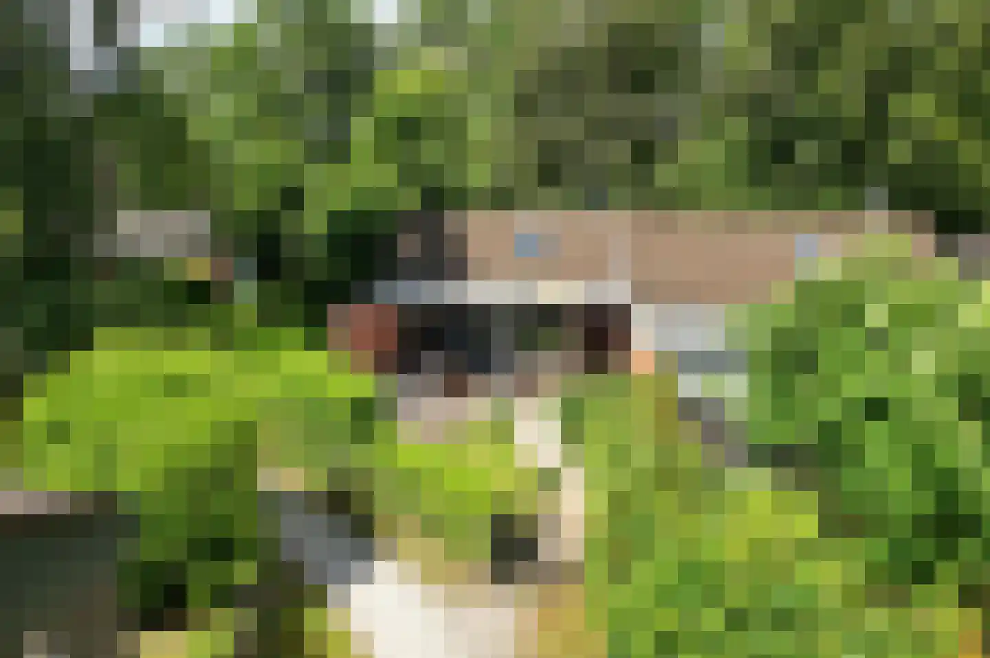 Bijsselseweg 11 11 Biddinghuizen thumbnail 4