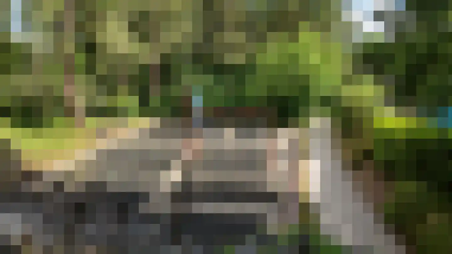 Bijsselseweg 11 11 Biddinghuizen thumbnail 41