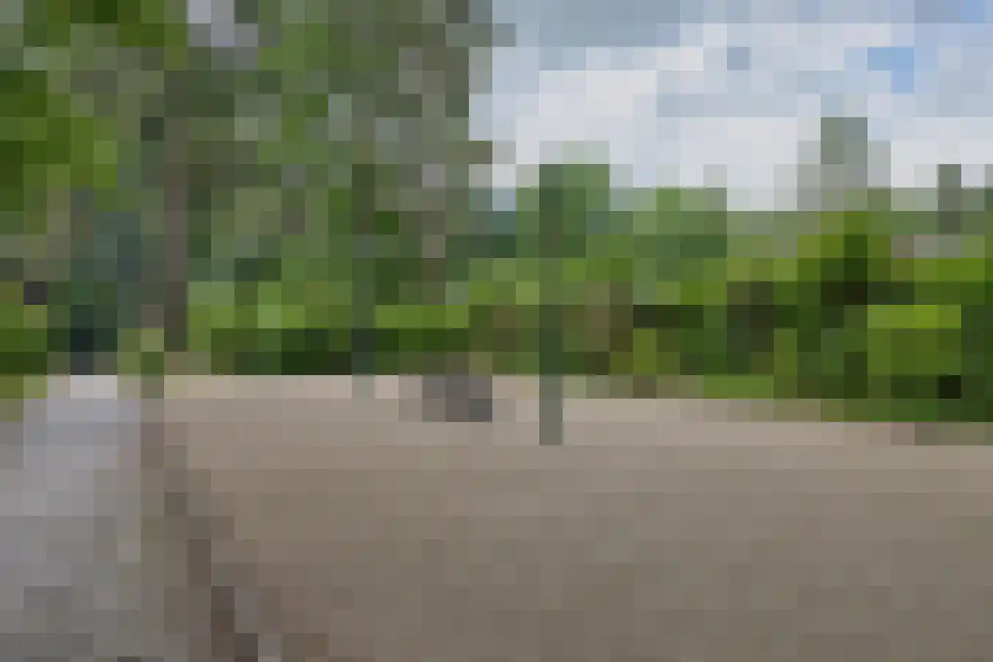 Bijsselseweg 11 11 Biddinghuizen thumbnail 43