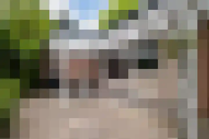 Bijsselseweg 11 123 Biddinghuizen thumbnail 18
