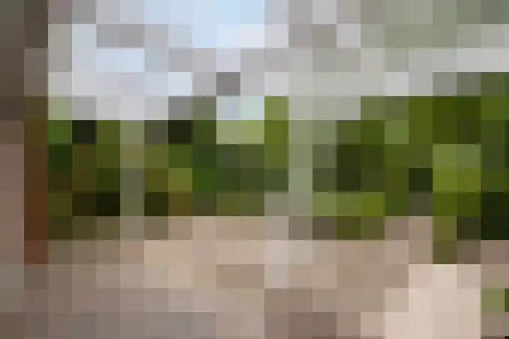 Bijsselseweg 11 123 Biddinghuizen thumbnail 19
