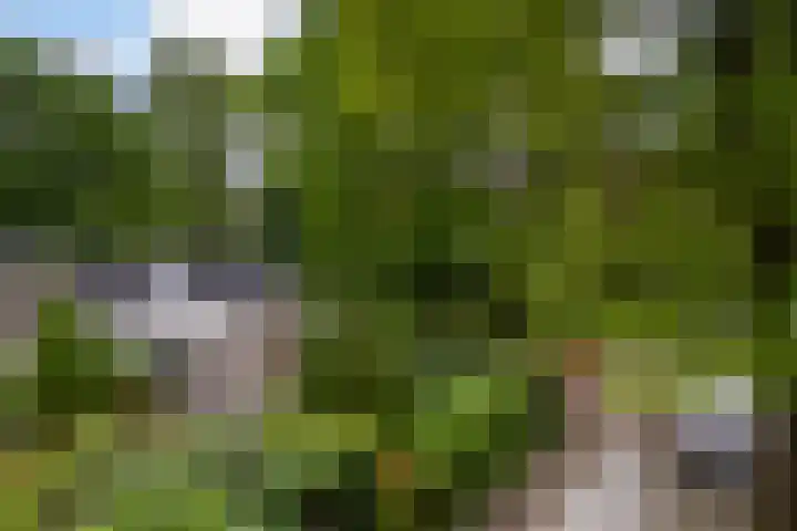Bijsselseweg 11 123 Biddinghuizen thumbnail 22