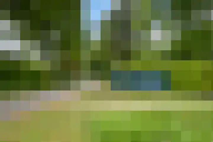 Bijsselseweg 11 123 Biddinghuizen thumbnail 25