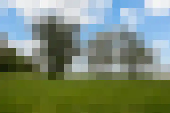 Bijsselseweg 11 123 Biddinghuizen thumbnail 26