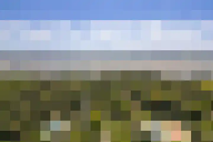 Bijsselseweg 11 123 Biddinghuizen thumbnail 28
