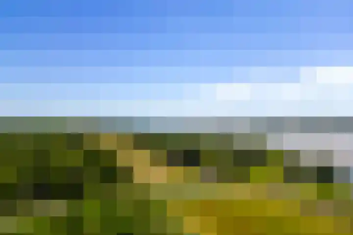 Bijsselseweg 11 123 Biddinghuizen thumbnail 32