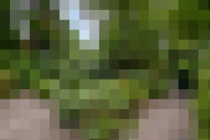 Bijsselseweg 11 123 Biddinghuizen thumbnail 5
